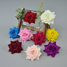 Rose flower